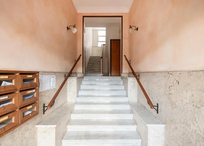 White Flat San Lorenzo